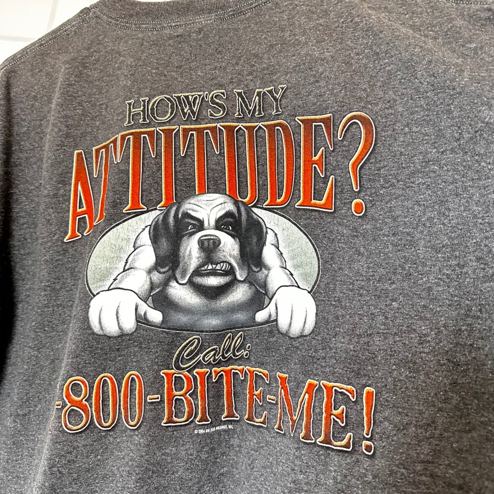 Big Dogs Mens T-Shirt Large Grey 1-800-Bite-Me Graphic Vintage 2004 Santa Barbar